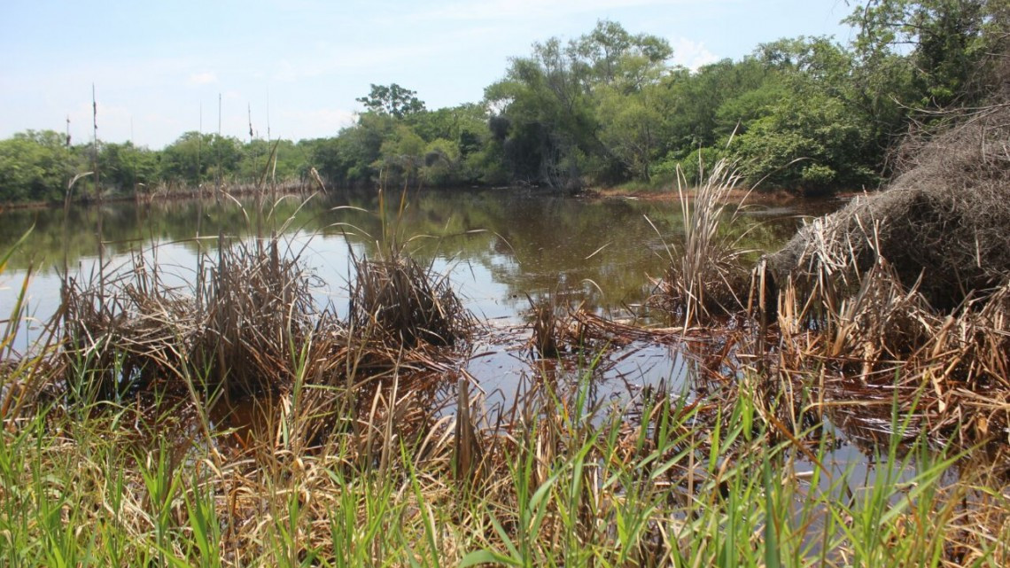 Fuga de combustible afecta tierra de siembra y presa de la zona ejidal