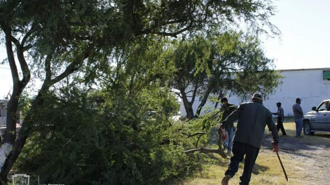 Realizan actividades del programa “Limpiando tu colonia”
