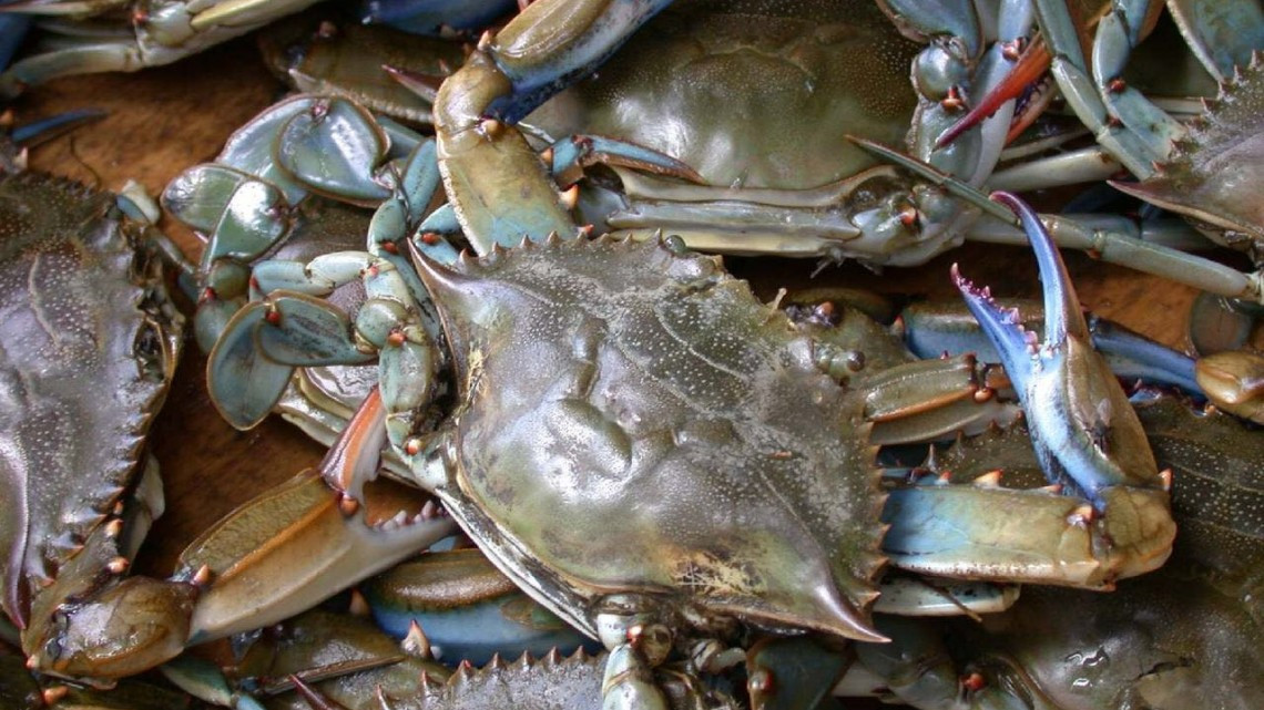 El kilo de jaiba anda por las nubes