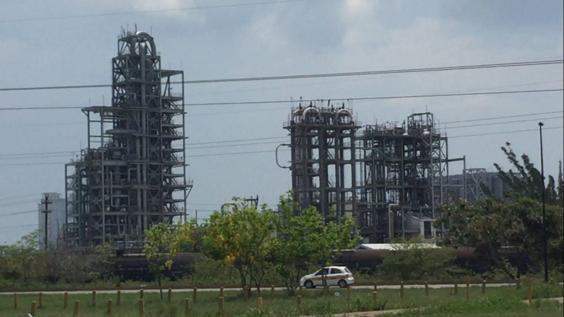 Siembran árboles y recuperan áreas verdes en Altamira