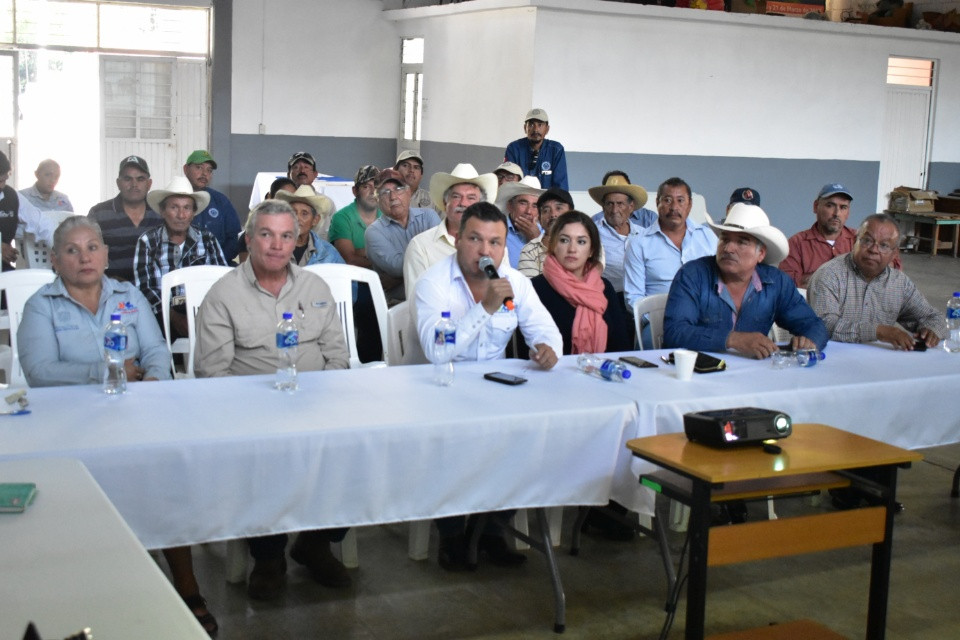 Apoya Gobierno en el control y prevención de la diseminación de la mosca  de la fruta