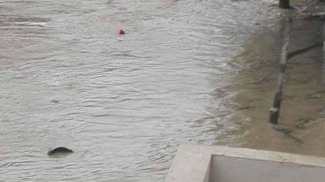 Obras hidráulicas una prioridad para los municipios del sur de Tamaulipas