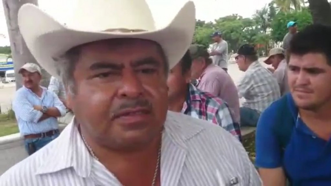 Analizan pago de incentivos a producción de oleaginosas