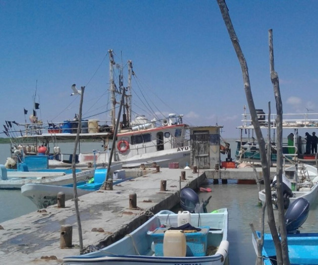 Esperan que se restablezca la veda de camarón