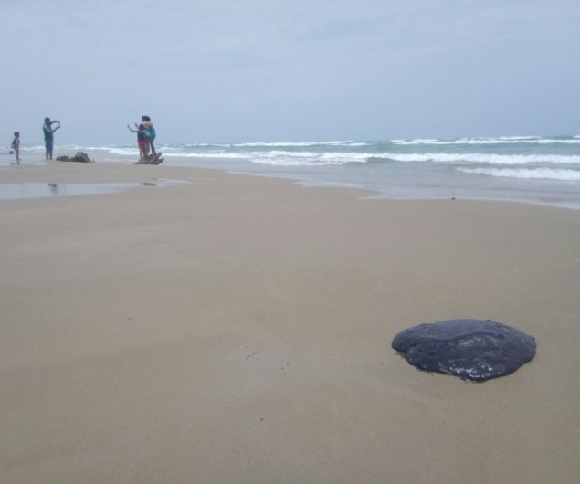 Aparecen manchas de petróleo en Playa Miramar 