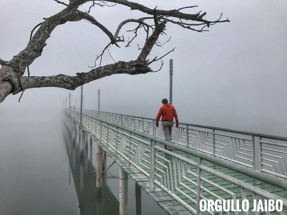 Hermosos paisajes de Tampico envueltos de neblina