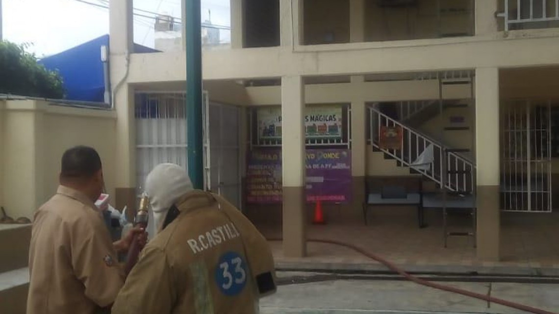 Abejas africanizadas causan terror en escuela primaria de Tampico