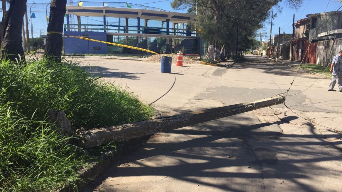 Pino tumba poste y cableado de CFE y deja sin luz a 100 viviendas