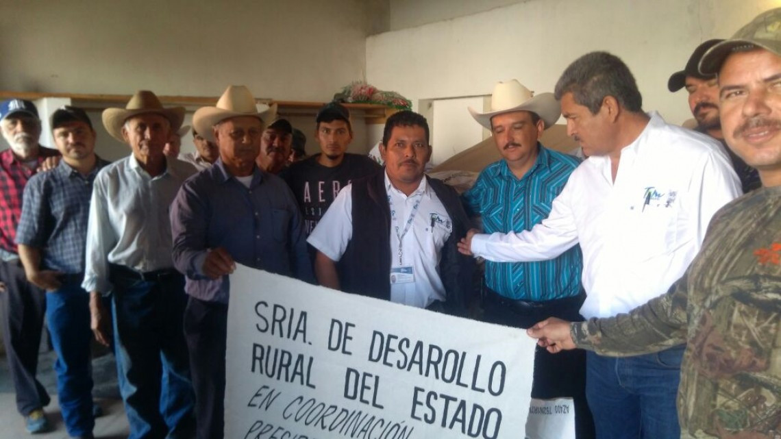 Entregan 40 ton. de Semilla de Sorgo en tres municipios de Tamaulipas