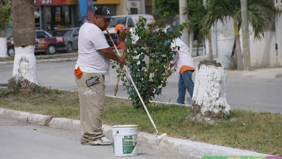 Realizan trabajos en colonia Brisas del Campo