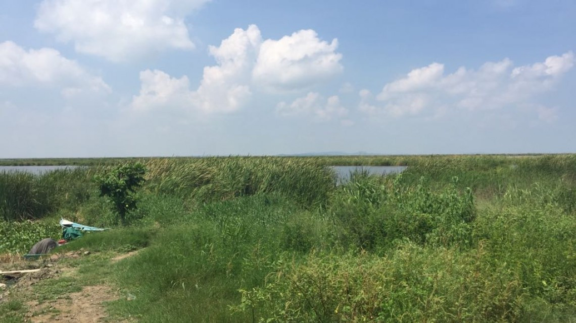 Fuerte explosión en medio del sistema lagunario alerta a vecinos ejidales