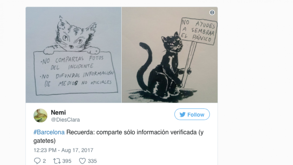 Tras atentado en Barcelona Twitter se llena de gatitos
