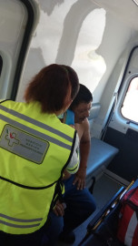 Abejas atacan a dos empleados municipales