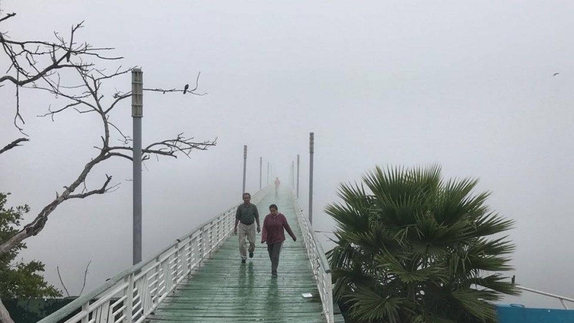 Hermosos paisajes de Tampico envueltos de neblina