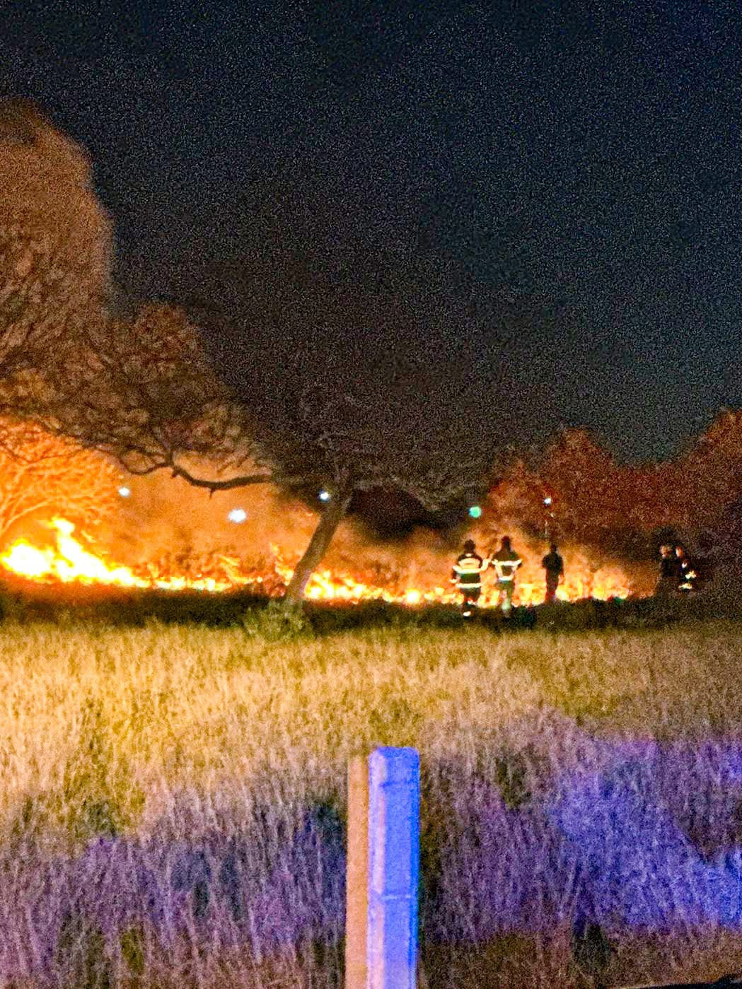 Bomberos sofocan incendio de pastizal en el bulevar Hidalgo