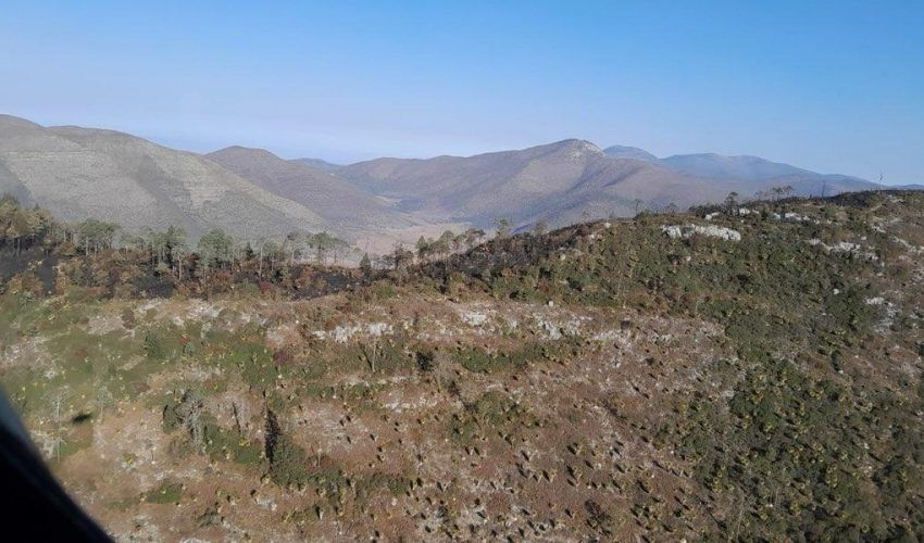 Controlado incendio forestal “Puerto del Volcán” en Miquihuana