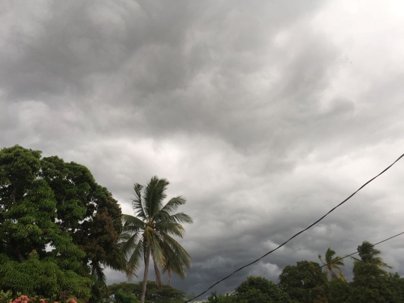 ¡Prepárate! Conoce el pronóstico del tiempo para este domingo en Tamaulipas