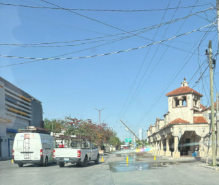 Frente frío 41 deja postes caídos y un árbol derribado en Reynosa: confirma Protección Civil