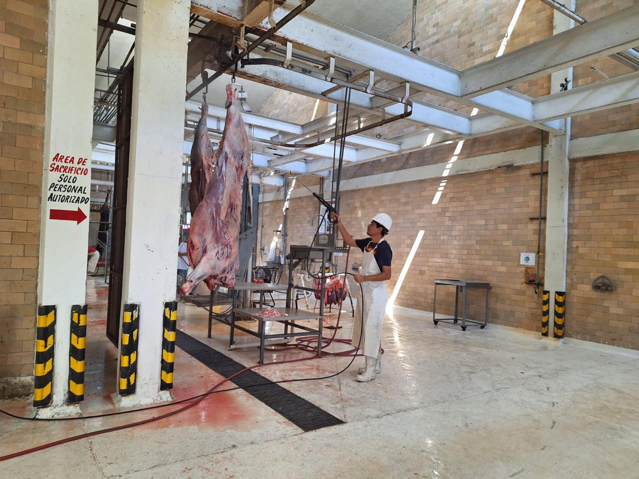 Proyecta Rastro Municipal reactivación del sector cárnico tras el "ayuno" de Cuaresma