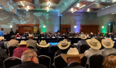 Participa Tamaulipas en reunión binacional para fortalecer sanidad pecuaria