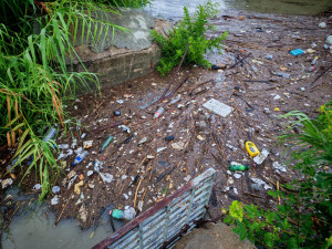 Exhorta Comapa a mantener calles limpias