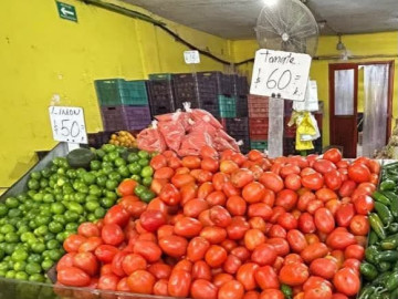 Prevén que el jitomate baje gradualmente hasta los 30 o 40 pesos por kilo