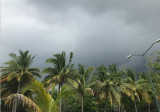 Conoce el pronóstico del tiempo para este miércoles en Tamaulipas