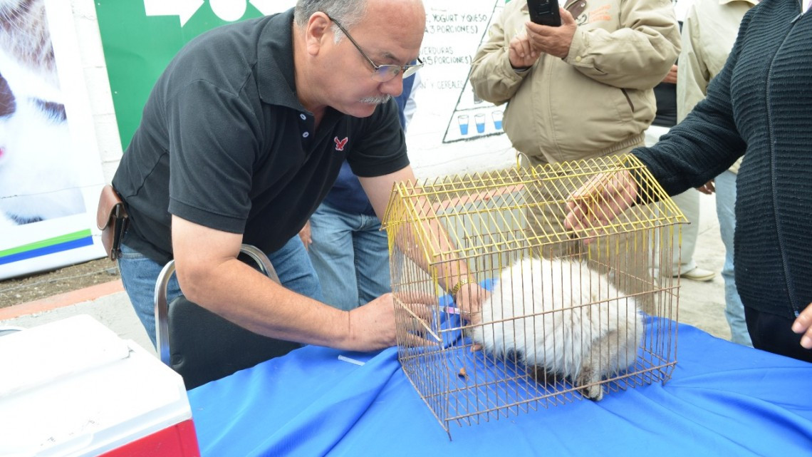 Aplicará Tamaulipas más de 268 mil vacunas contra la rabia