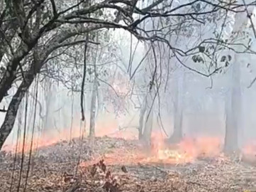 Reportan incendio en biósfera 