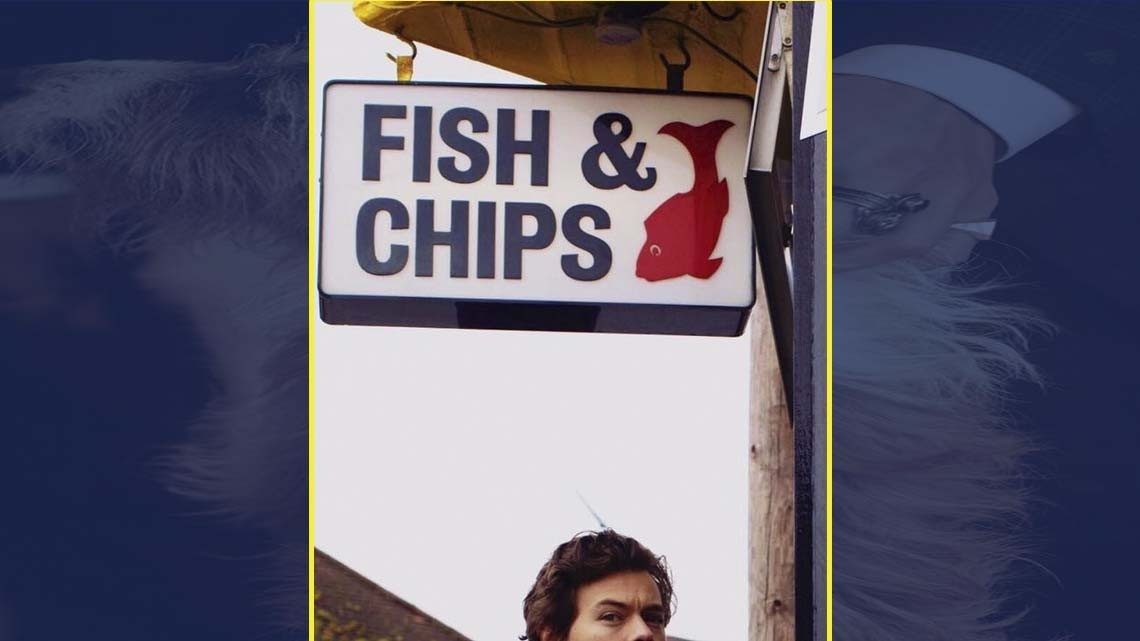 Harry Styles es la nueva cara de Gucci