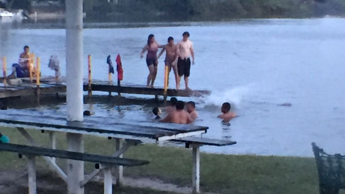 Tomarán medidas preventivas para evitar ataques de cocodrilos en Semana Santa