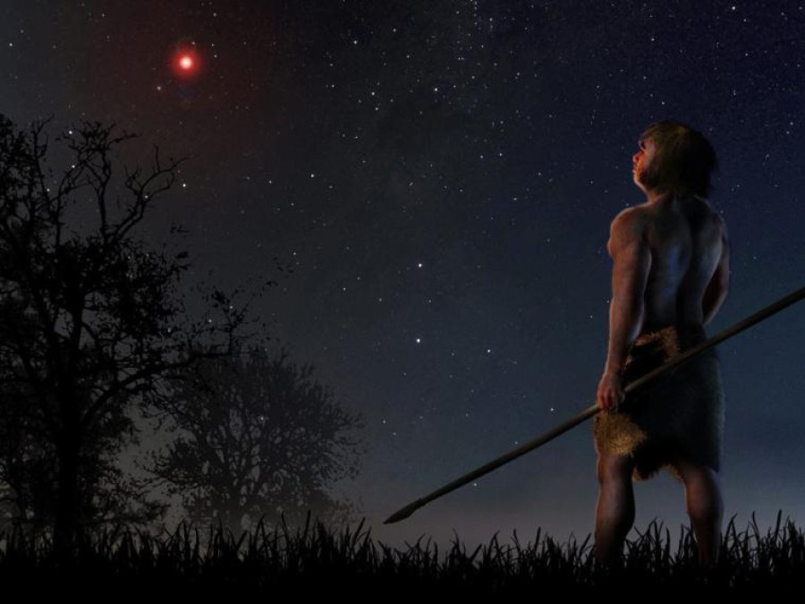 Comprueban que estrella alteró cometas del sistema solar