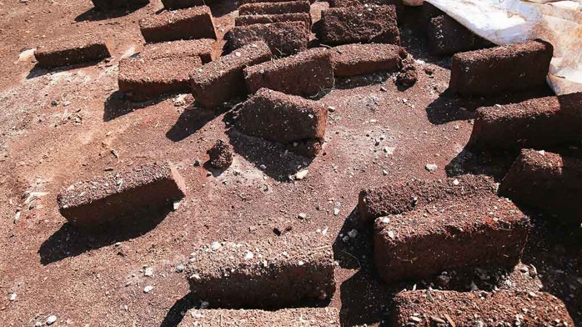 Buscan a joven que convirtió sargazo en ladrillos de construcción