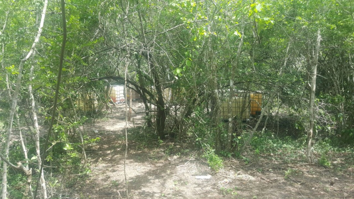 Asegura SSP 55 mil litros de hidrocarburo en el municipio de González