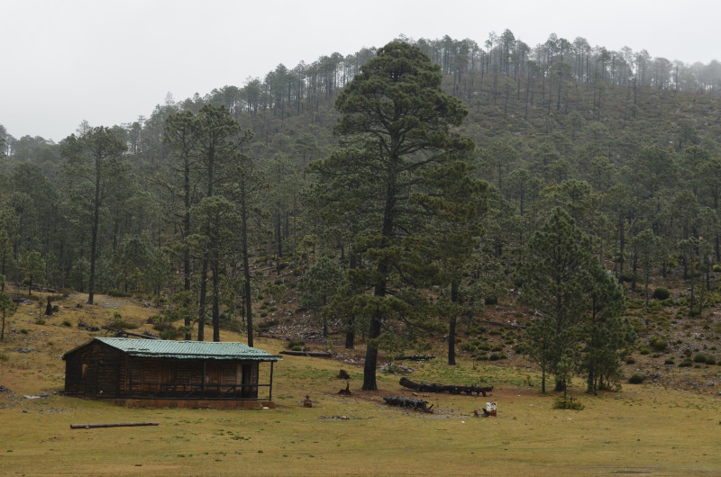 Intensifica Gobierno del Estado cuidado de Áreas Naturales Protegidas (ANPs)