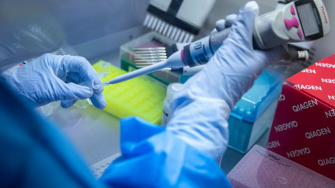 Registra Tamaulipas 34 nuevos casos positivos a COVID-19, suman 516 casos