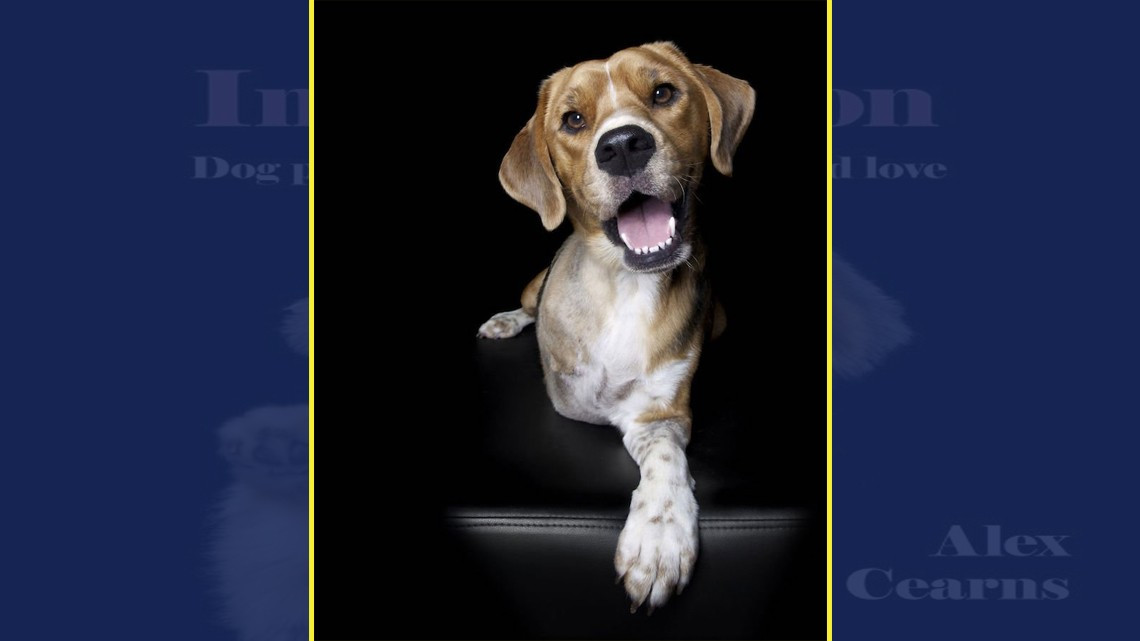 La perfección de los imperfectos