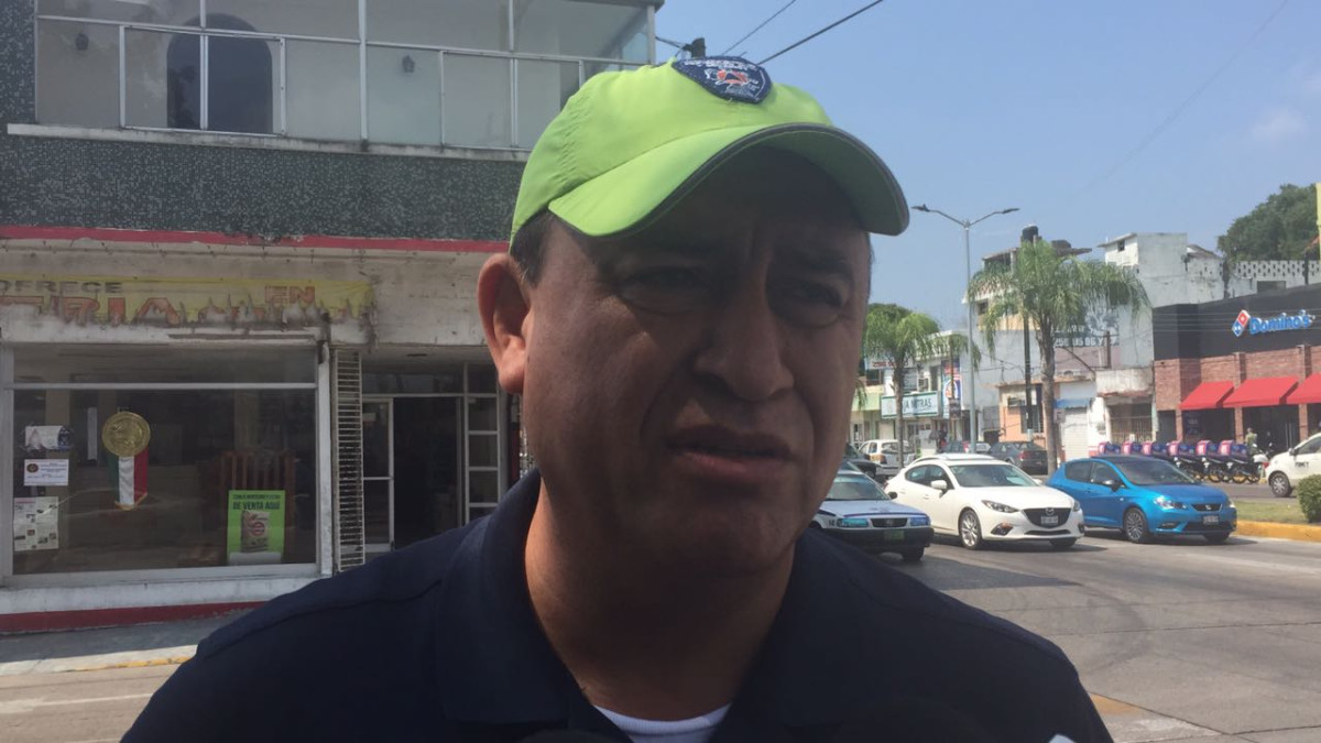 Podan árboles para evitar afectaciones a tendido eléctrico