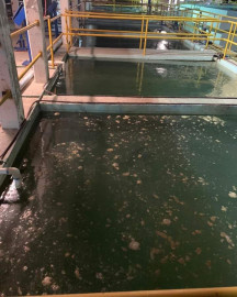 Para cumplir con calidad de agua enviada a los hogares se bajará presión en la ciudad