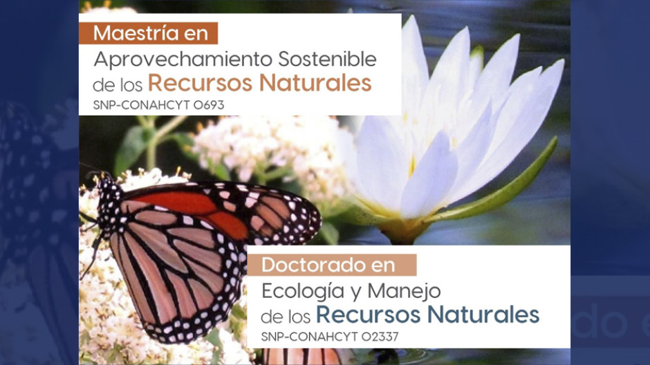 Convoca la UAT a cursar posgrados en áreas de ecología y recursos naturales