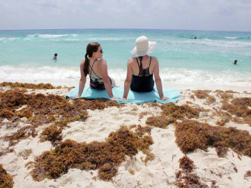 Hoteles del Caribe mexicano ofrecen descuentos por sargazo