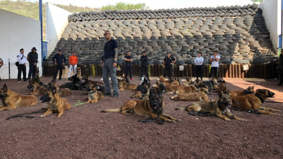 Realizan “3er Congreso Internacional Táctico k9”