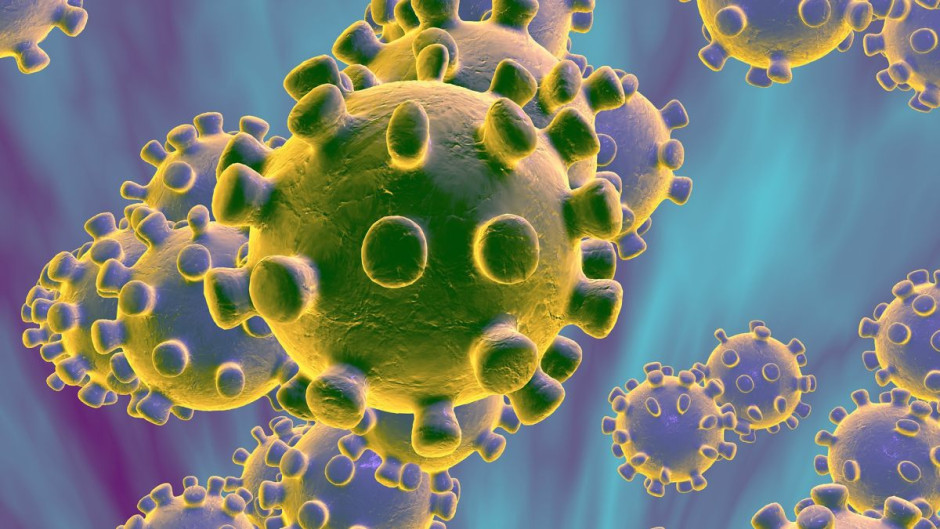 TEC de Monterrey suspende en Nuevo León clases presenciales por coronavirus