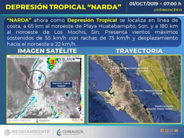 Narda se degrada a Depresión Tropical