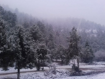 Nieve y aguanieve en región serrana de Chihuahua