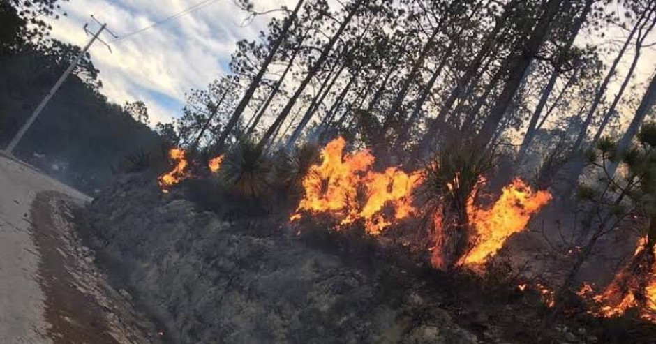 Incendio en Miquihuana afecta 40 hectáreas, se tiene un 50 por ciento de contención