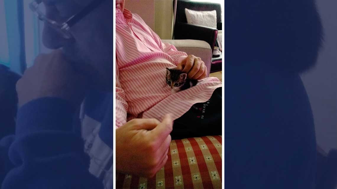 ¡No quiero animales!, días después...