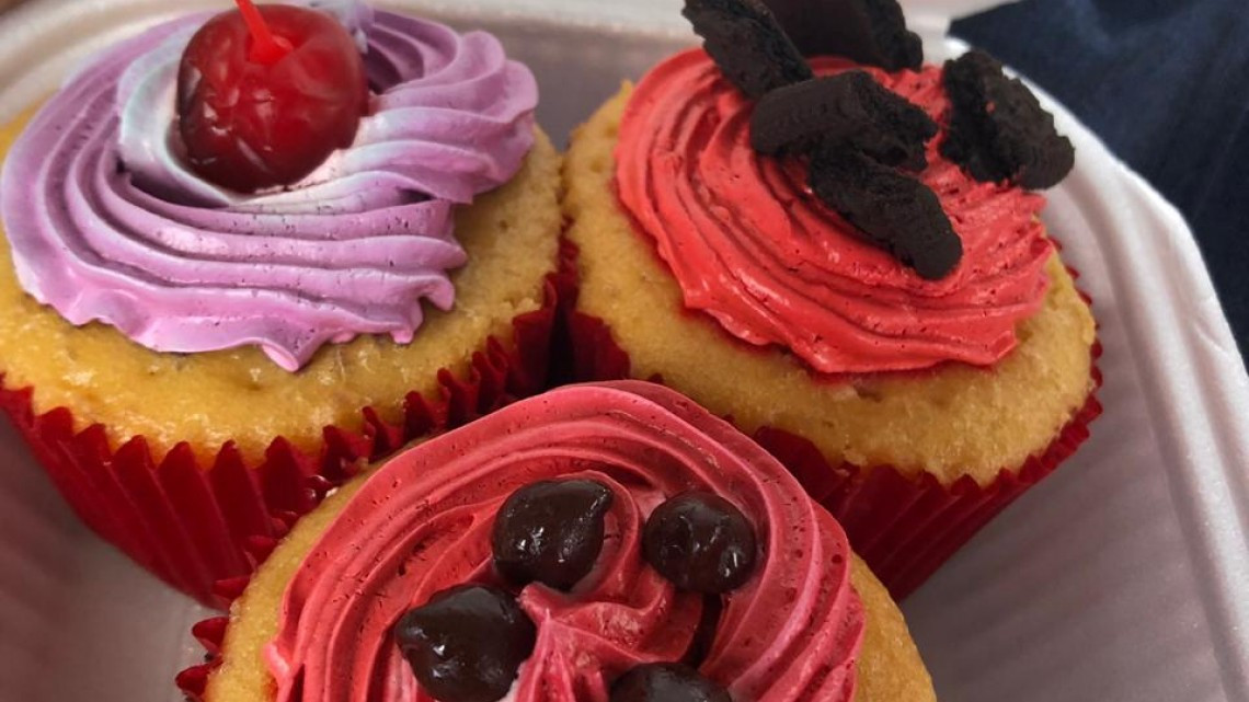 Rifan entrenamiento canino a beneficio de refugios de animales