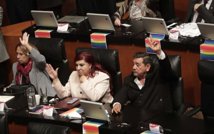 Senadora propone castración química para violadores en serie