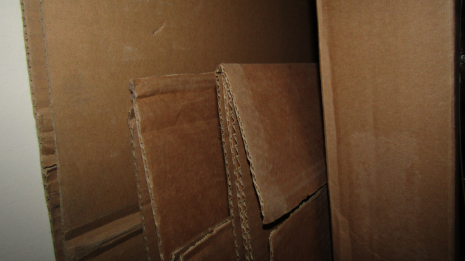 Gobierno de Tamaulipas impulsa el desarrollo sostenible